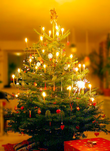Weihnachtsbaum-Geschenk